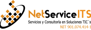 Netservices TI